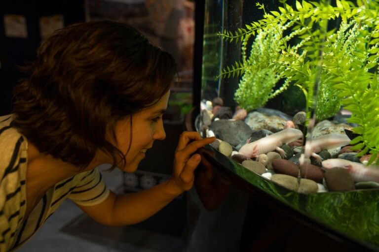 best filter for axolotl tank